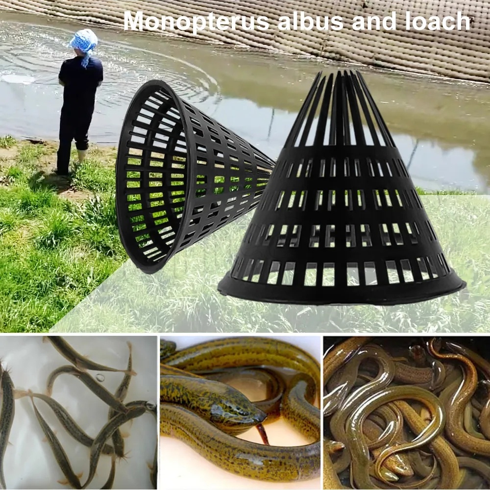 Monopterus Albus Loach Crab Trap Entrance / Durable Plastic Container