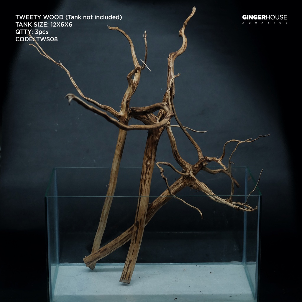 ♟Tweety Wood Set for Aquarium, Vivarium, Terrarium and other Wood