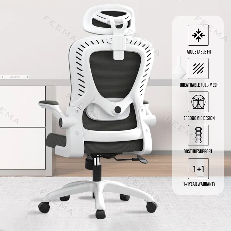 Ergonomics Chair,Office Chair With Adjustable Lumbar Support, Headrest