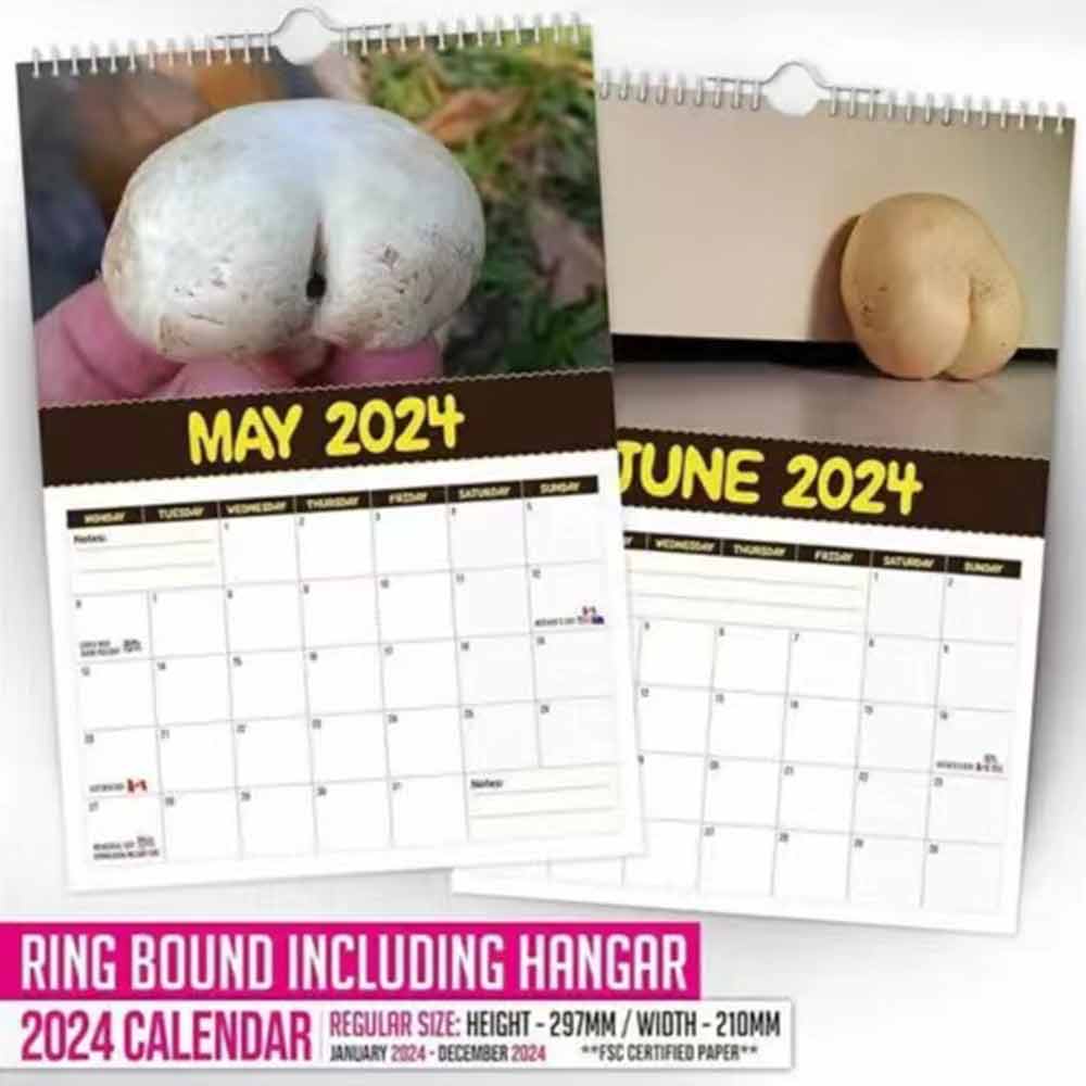 Mushroom Calendar 2024 World S Greatest Mushroom Wall Calendars 2024   Sg 11134201 7rbmg Lp96q9eqhqlvab