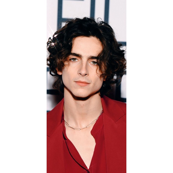 【hot sale】 Timothee Chalamet A4 HD POSTER w/ FREEBIES | American Actor ...