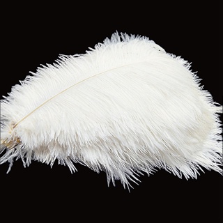 20pcs) 15-20cm Ostrich Feathers For Home Decoration, Diy Accessories,  Headwear, Masquerade And Feather Wall