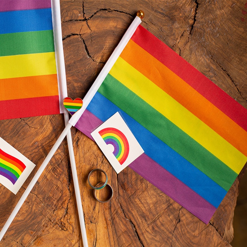 20 Pcs Small Rainbow Flag Gay Pride Flag Gay Rainbow Handheld Waving ...