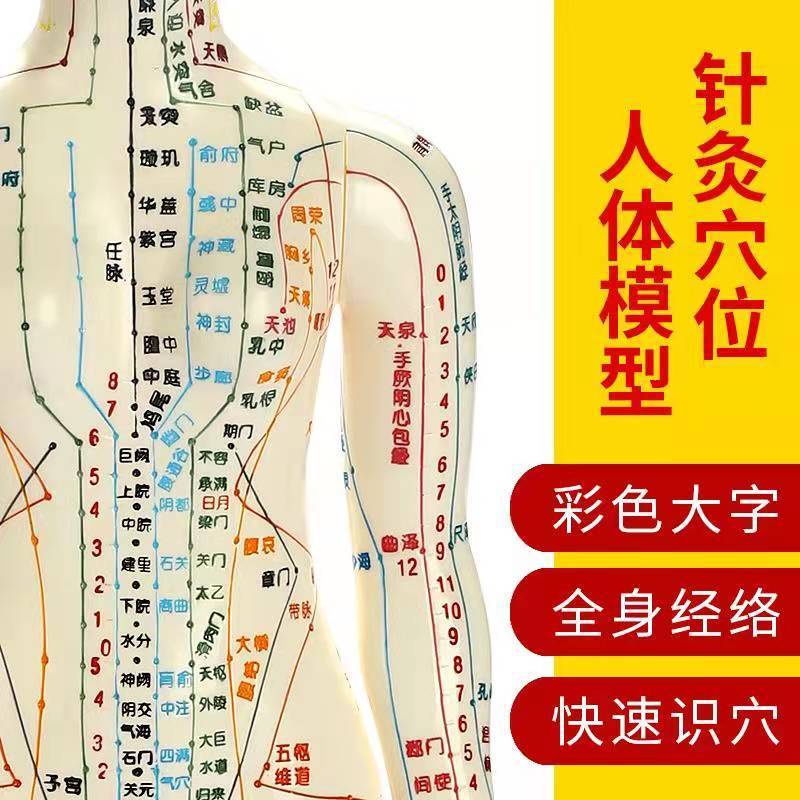 traditional-chinese-medicine-acupuncture-body-meridian-acupuncture