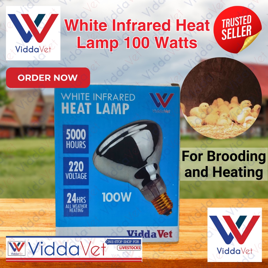 Piggery and Poultry BROODER Heat LAMP Bulb 100 watts for animals