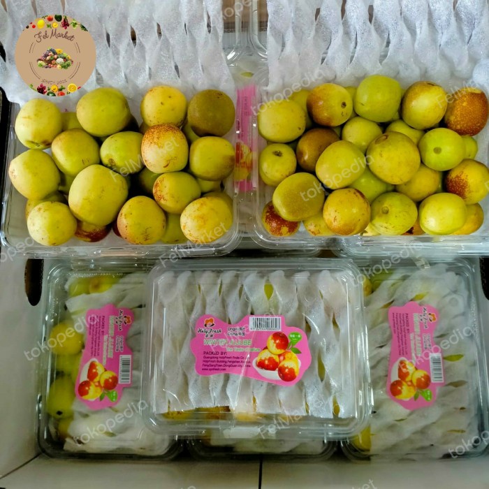 Fresh angco Fruit Fresh jujube Fruit 500 grm Shopee Philippines