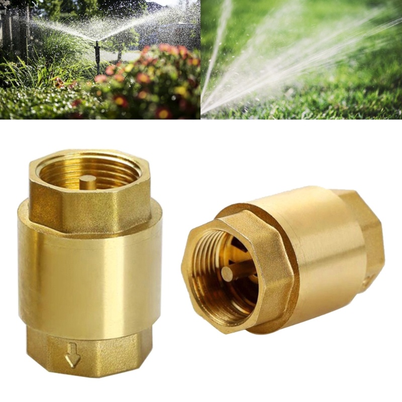 PCF* 1 Brass Check Valves Heavy Duty Check Valves Suitable for Various ...