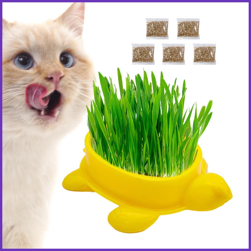 Cat Grass Hydroponic Planter Turtle Shape Cat Grass Tray Cat Planter ...