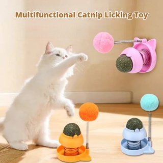 Interactive Cat Toys Mouse for Indoor Cats Rechargeable LED Cat Mouse Toy  Feather Tail with Beel Lifelike Electric Automatic Moving Mouse Cat Toy for