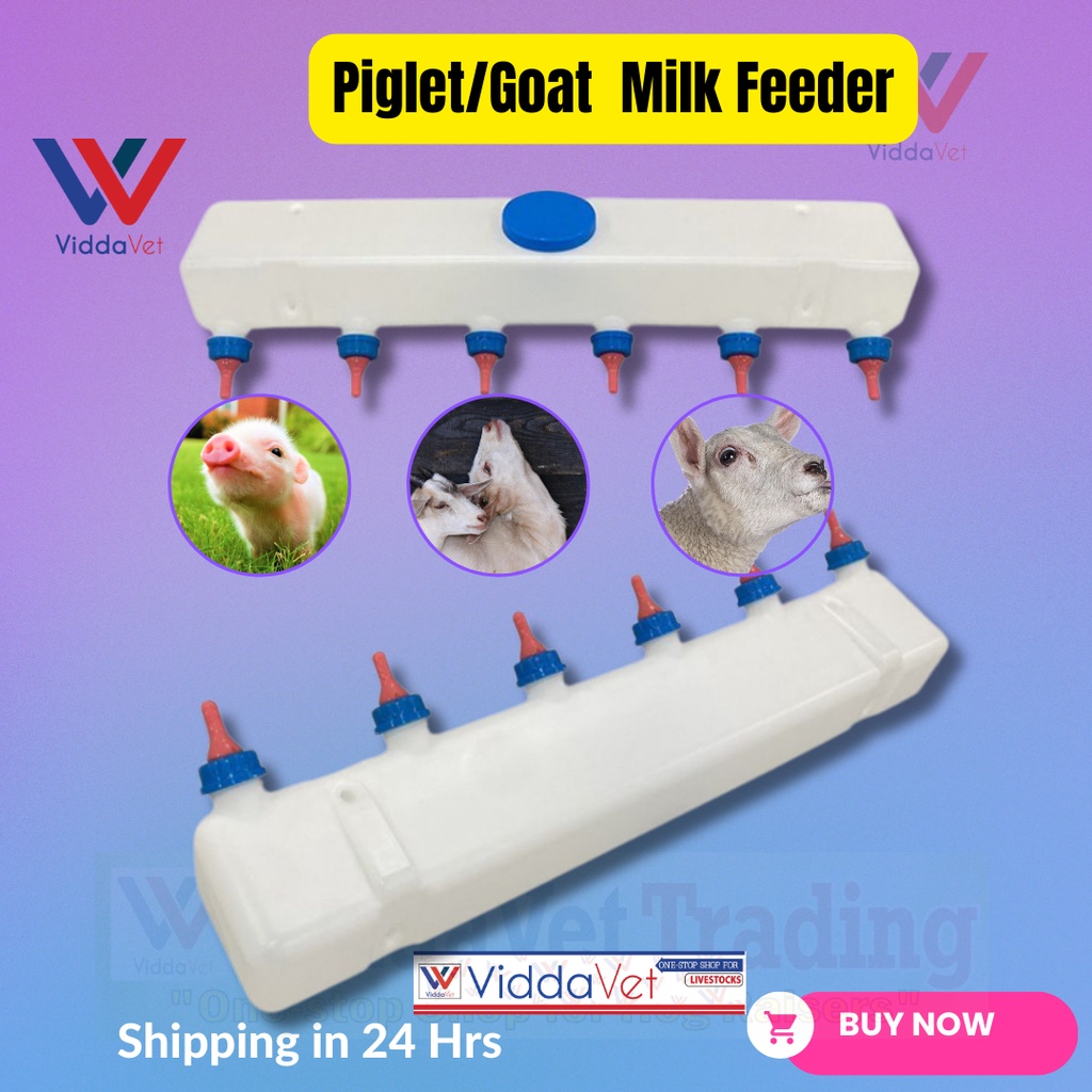 Premium Piglet Milk Replacer for Optimal Nutrition piglet milk feeder