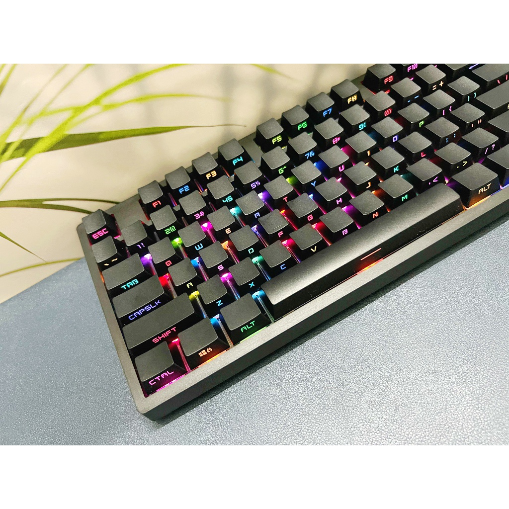 Pigeon Side Engraved Transparent Keycap PBT Small Full Set Boxed OEM ...