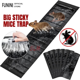 Spencer 4 Pack Large Mouse Glue Traps with Enhanced Stickiness, Rat Mouse  Traps, Snake Mouse Traps Sticky Pad Board for House Indoor Outdoor, Heavy  Duty Large Sizee -8.3 x 12 