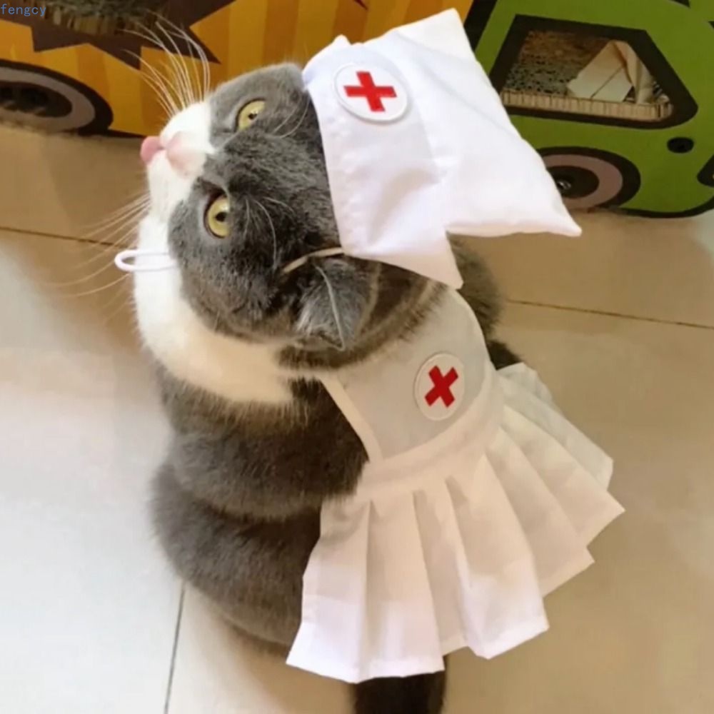 Cosplay Nhật Bản – Hàn Quốc cho thú cưng