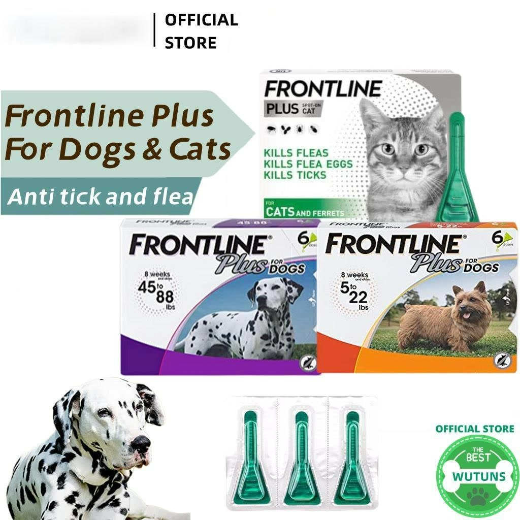 Frontline anti hot sale flea