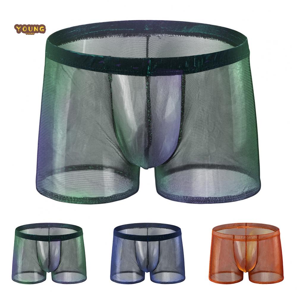 Men Sexy Sheer See Through Boxer Briefs Underwear Mesh Shorts Trunks