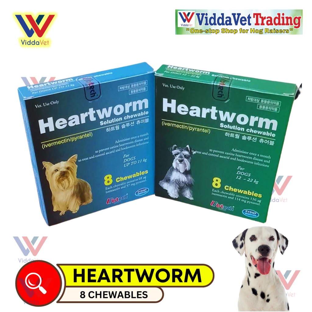 Canine heartworm medicine best sale