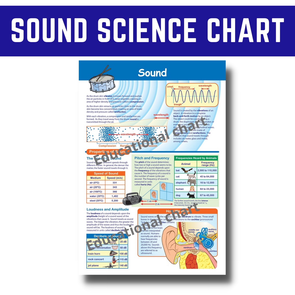 LAMINATED CHARTS SOUND POSTERS CHARTS I ALL ABOUT SCIENCE CHARTS, A4 ...