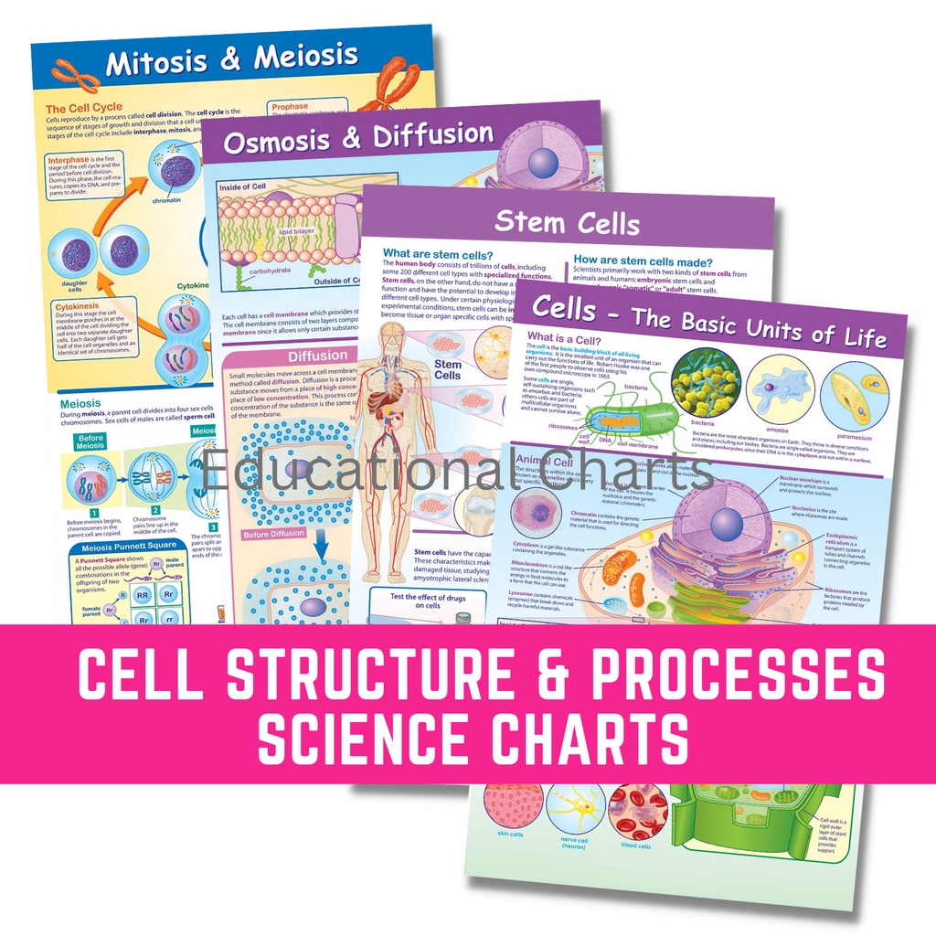 EDUCATIONAL SCIENCE BIOLOGY CHARTS CELL STRUCTURE & PROCESSES POSTERS ...