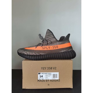 Beluga 3.0 outlet