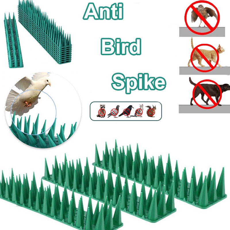 Anti Bird Spike Plastic Wall Fence Spikes Safe Durable Prevention and ...