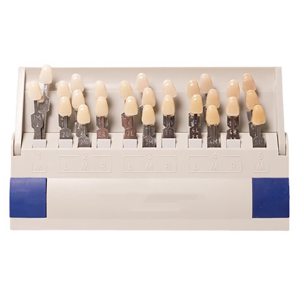Teeth Whitening Shade Guide 29 Colors Comparison Individually Removable
