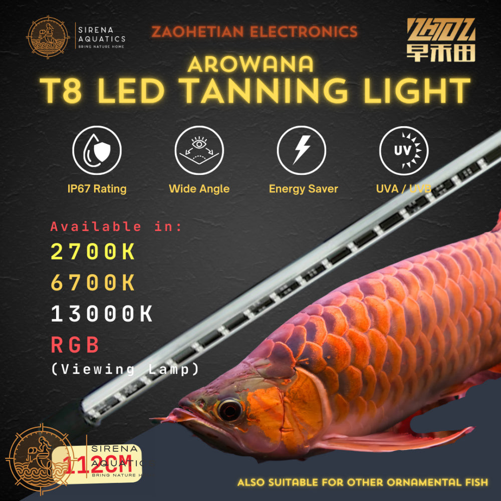 Zaohetian Arowana Tanning Light LED Lamp T8 with UVA/UVB - 45W, 112CM ...