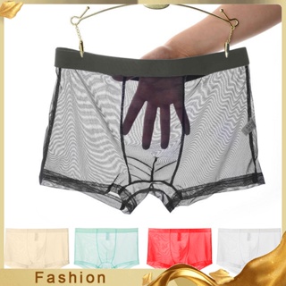 Men Sexy See Through Briefs Bulge Pouch Panties Sheer Lingerie Low