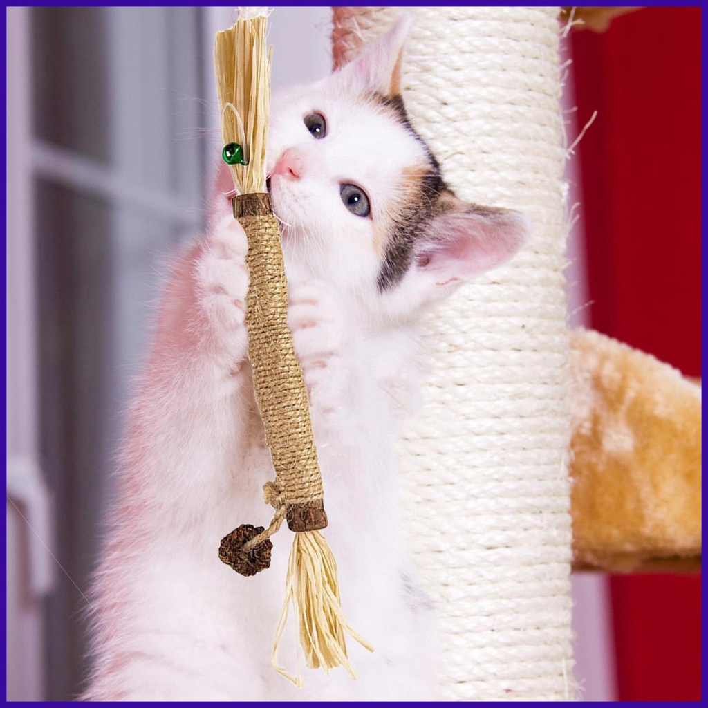 Silvervine Toys for Cats Catnip Molar Rod with Bell for Indoor Cats ...