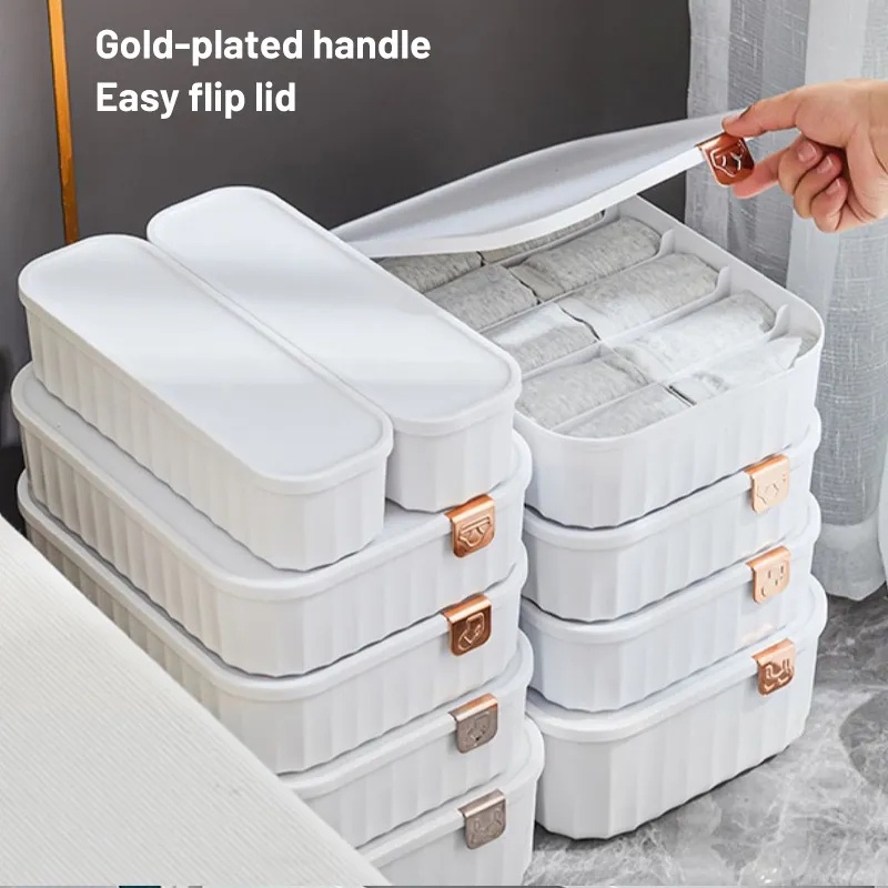 5/10/15 Grids Striped Underwear Organizer with Cover (Panty/Underwear ...