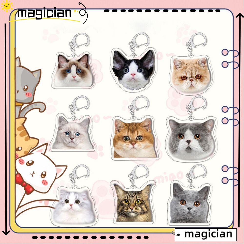 Mag Acrylic Keychain, Cat Series Diy Cartoon Cat Keychain, Gift Cat 