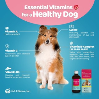 LC Vit Multi-vitamins Syrup, Pet Multivitamins Cat Dog Vitamins ...