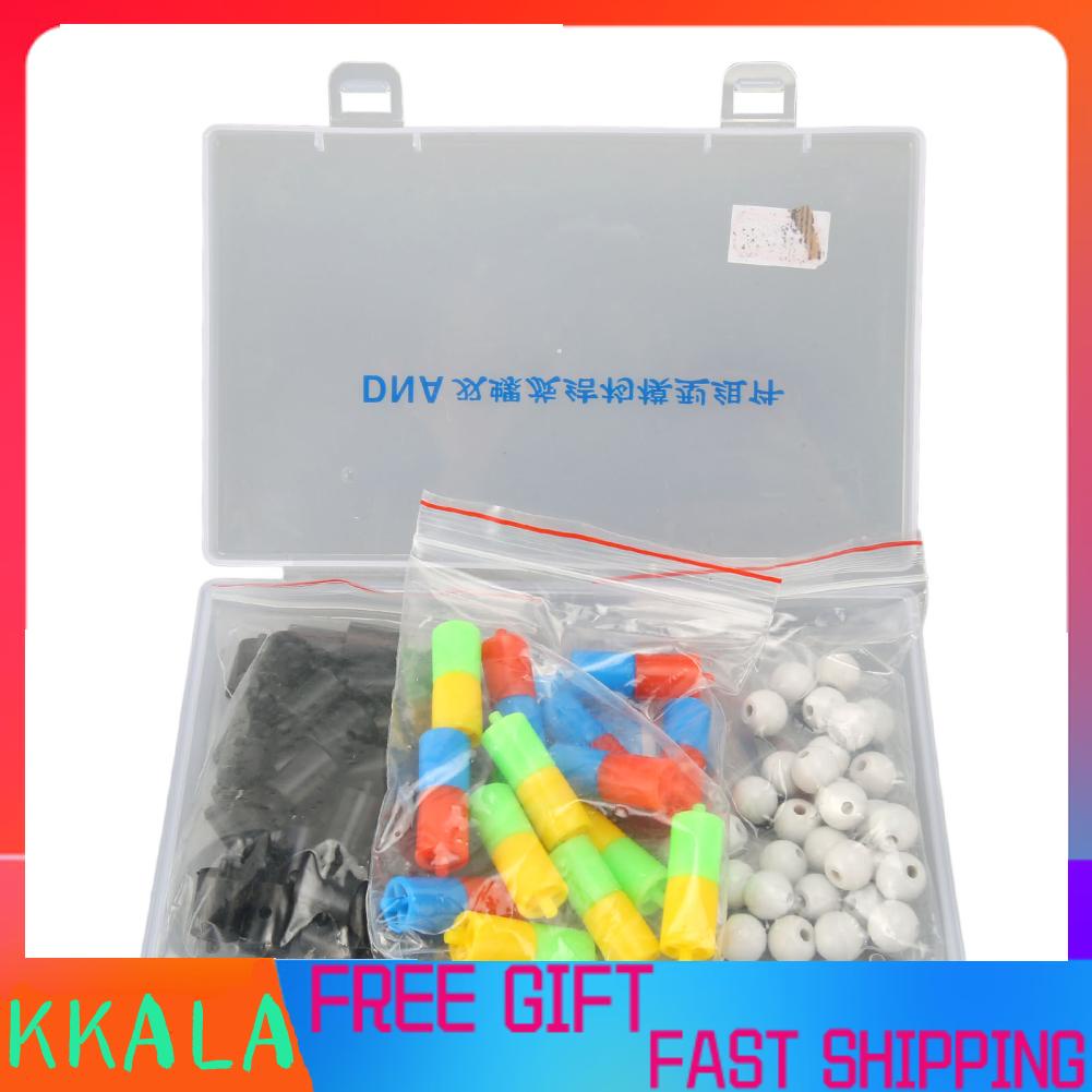 Kkala DNA Models Double Structure Educational Modesl Kit Biological ...