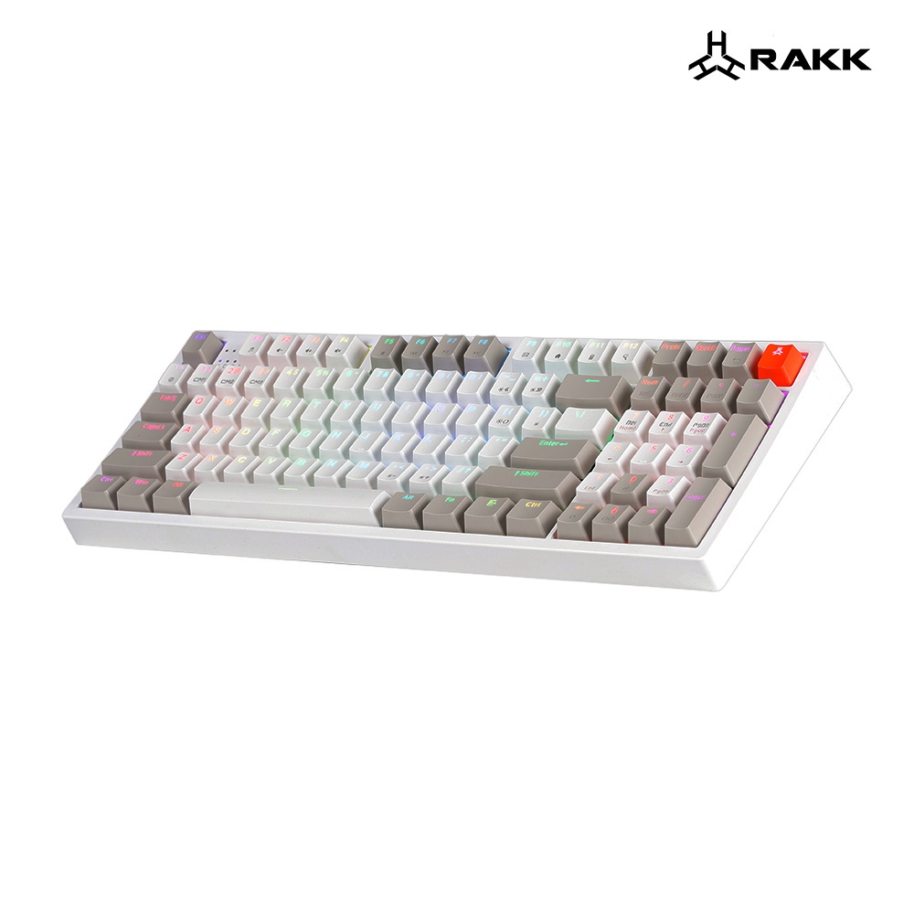 Rakk Ilis Mechanical Keyboard | 96 Keys | PBT Keycaps | Type-C USB | 1 ...