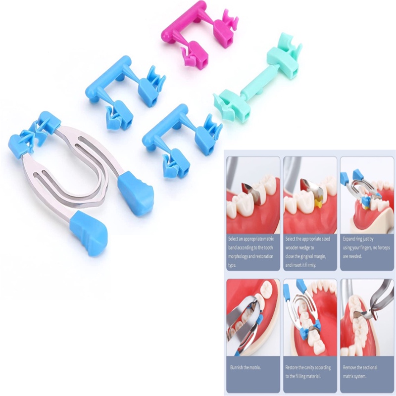 Dental Matrix Clip Rings Set Sectional Contoured Matrices Clamps Wedges ...