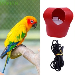 Pet Harness Rope Bird Leash for Conures Parrot Flying Harness Conure  Harness