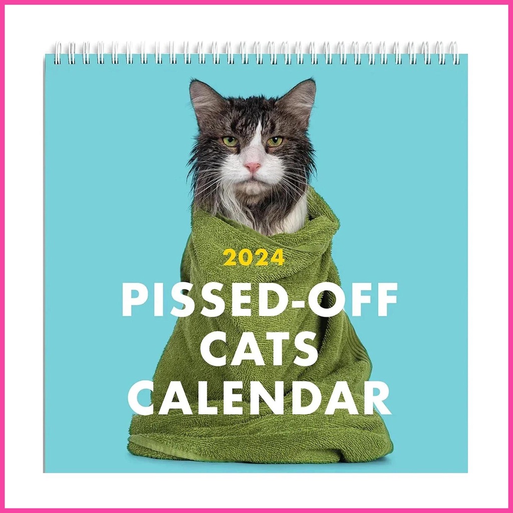 Funny Cat Wall Calendar 2024 Pissed Off Cats Calendar Desktop Ornament