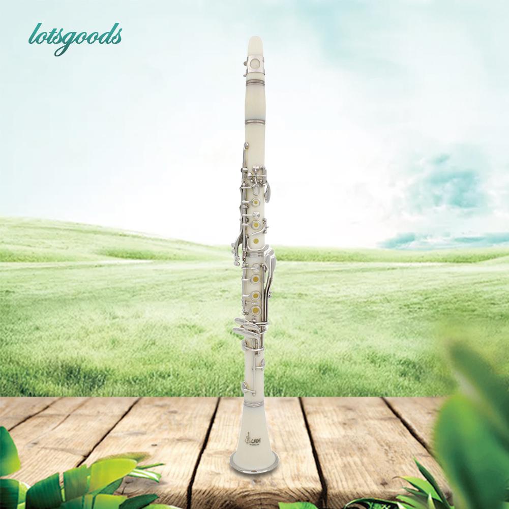 Bb 17 Keys with Case Professional Set White Gloves