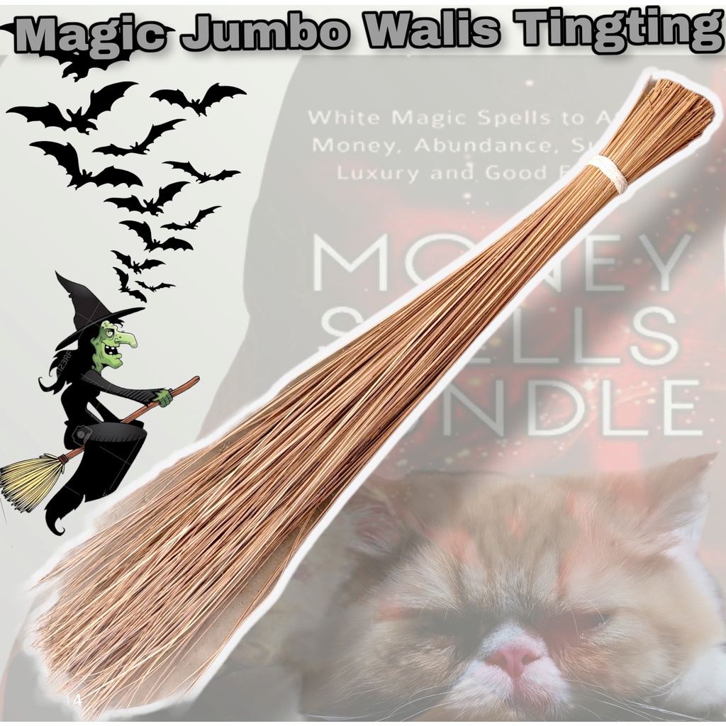 Lola Basyangs Original Magic Walis Tingting and WITCHES 5 FEET BROOM ...