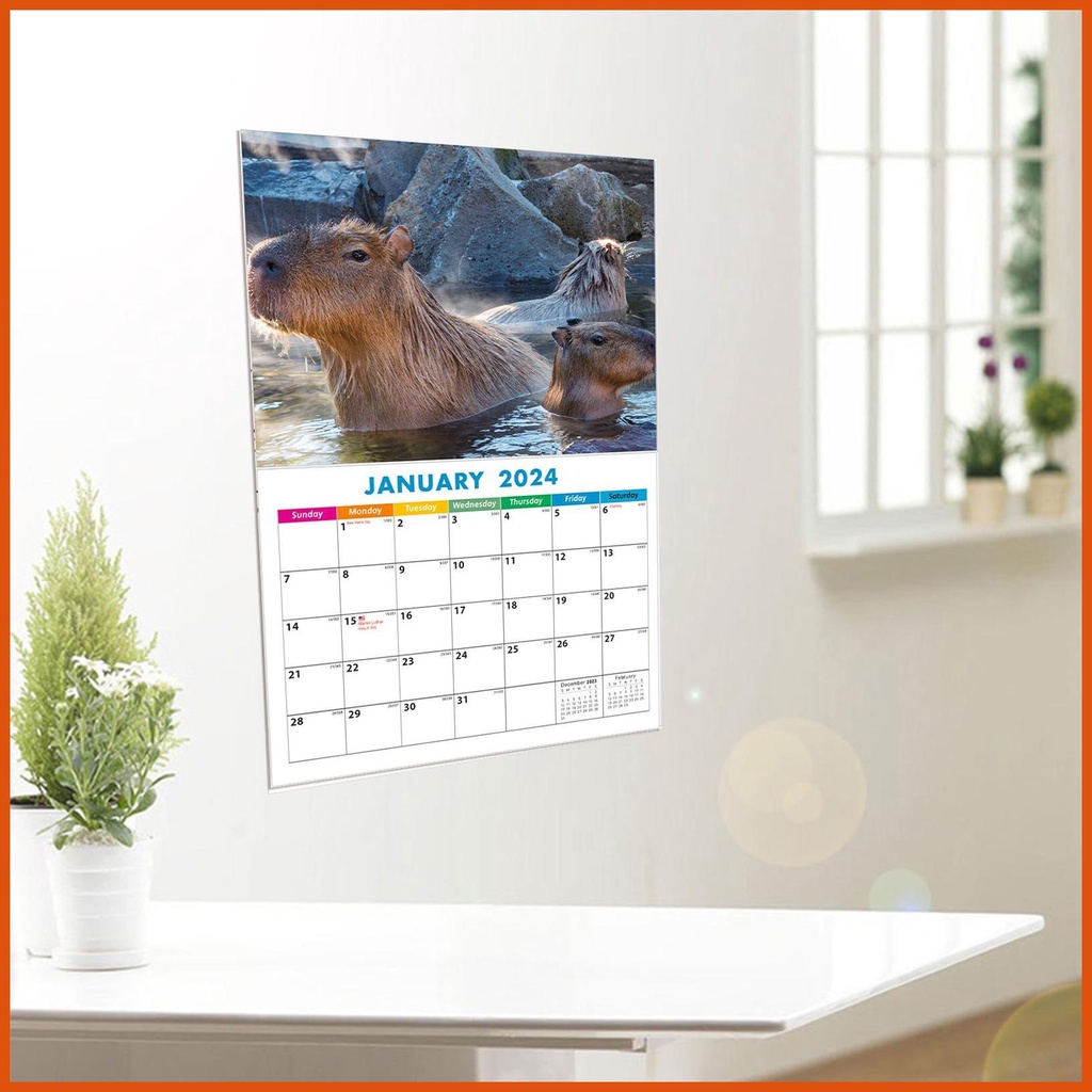 Wall Calendar Dogs Cats And Otters Photography Funny Calendars 2024