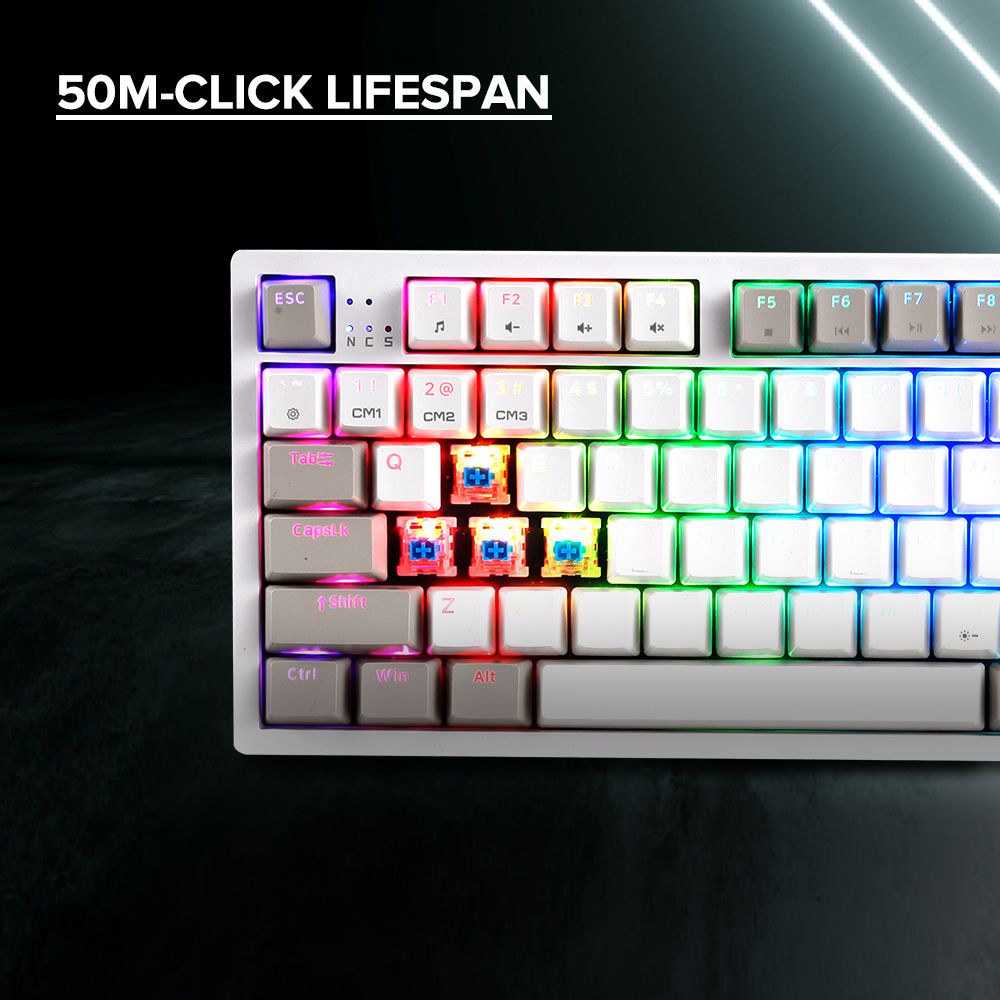 Rakk Ilis Mechanical Keyboard | 96 Keys | PBT Keycaps | Type-C USB | 1 ...