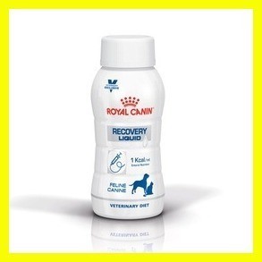 Shop royal canin recovery food for Sale on Shopee Philippines