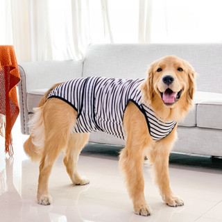 Big Pet Physiological Pants Anti Bite Prevent Lick Retriever Big Dog Physiological Pants Striped Jumpsuit Breathable Jumpsuits Clothing Labrador Golden Shopee Philippines