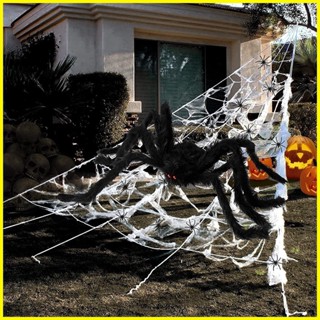 Shop halloween decoration spider for Sale on Shopee Philippines