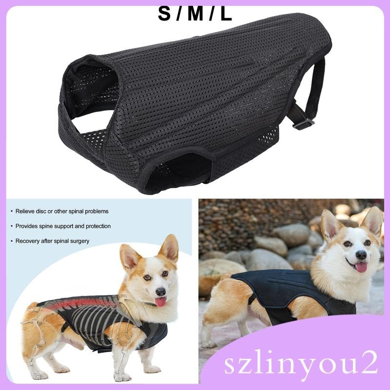 Dog Back Brace Full Body Support Wrap Back Protective Vest for Disabled  Dogs