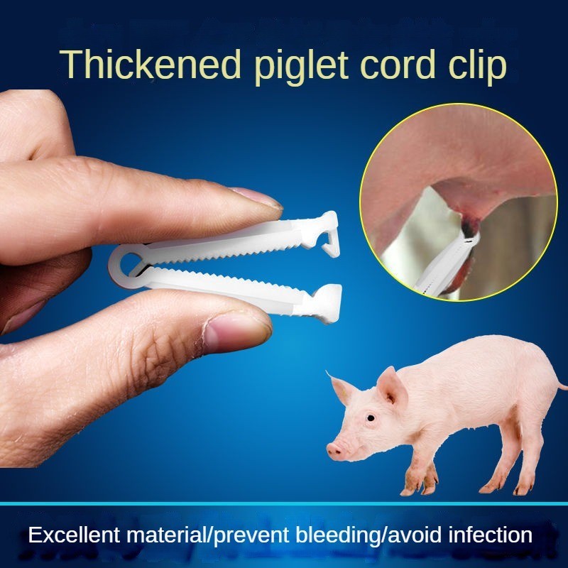 Disposable umbilical cord clamp for piglets, piglet umbilical cord ...