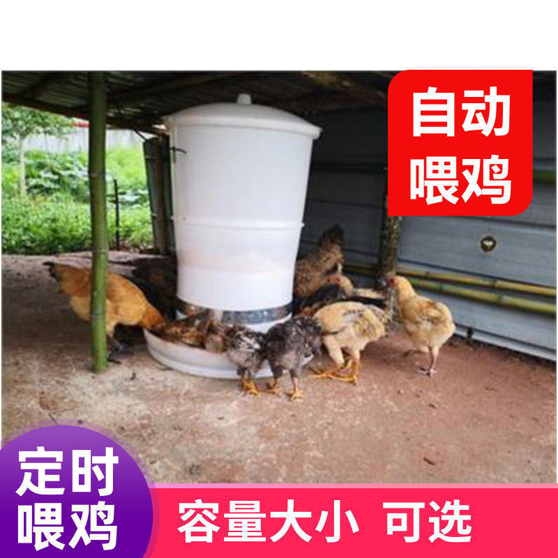 Timing Feeding Machine Chicken Feeding Device Chicken, Duck and Goose ...