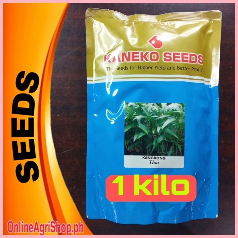 ∆ THAI KANGKONG SEEDS 1 KILO (KANEKO SEEDS) | Shopee Philippines