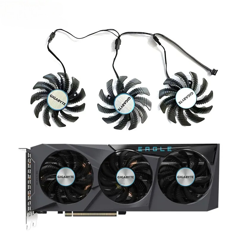 629451_5