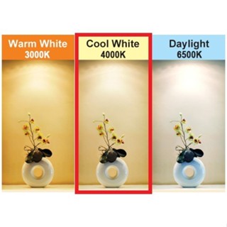 Firefly Basic Series LED Bulb - 9 Watts - Daylight / Cool White / Warm White