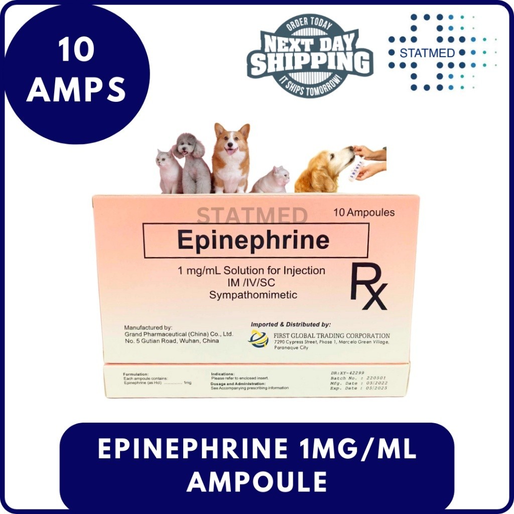 Epicare Epinephrine 1mg/mL Ampoule 1 Box (10 Amps) l Exp Date June